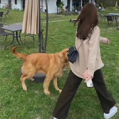罗宾汉的真实故事
