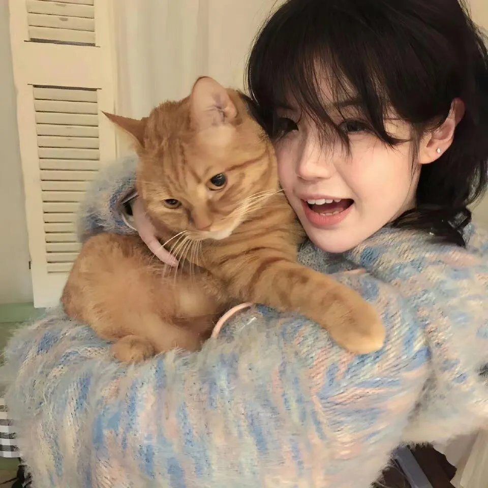 猫咪心动奇迹